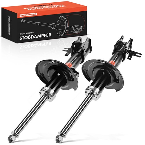 Frankberg shock absorber - , gas