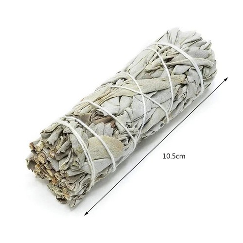 White sage californian - sage,