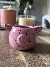 Percy Pig Mini Plant Pot