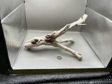 Bleached Red Moor Wood /