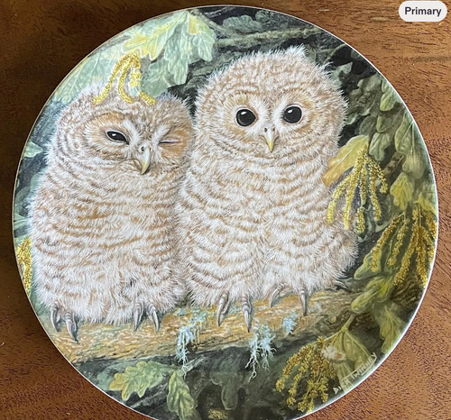 Wedgwood bone china collector - china,