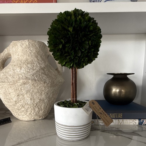 Real preserved boxwood - i'm,