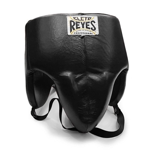Cleto reyes groin and - and, kidney