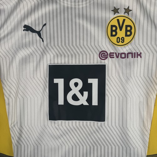 Borussia dortmund football - dortmund,