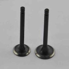 Intake and Exhaust Valves for
