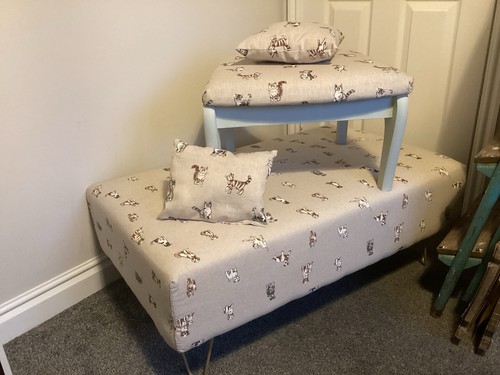 Dog and cat beds - cat,