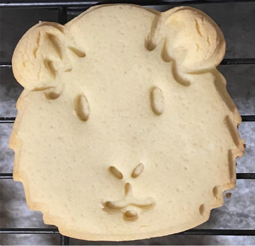 Guinea pig cookie pastry - guinea,