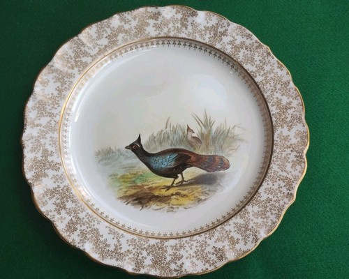 Antique royal worcester - antique,