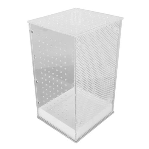Tarantula box easy - box,
