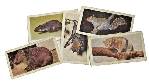 Horniman tea cards - horniman's,