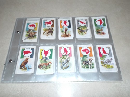Full set players boy - full,