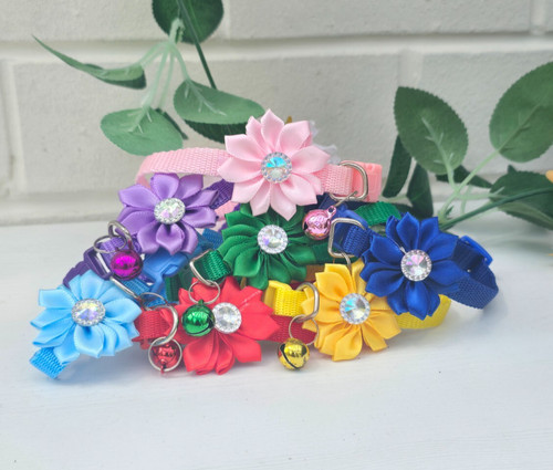 Xxs dog collar puppy - dog,