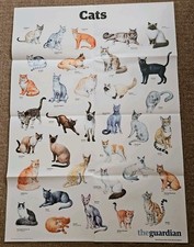 Guardian A1 Wallchart Poster