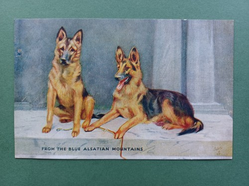 1930s from the blue - pc,