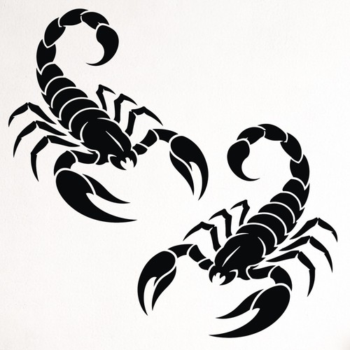 Scorpion campervan sticker - campervan,