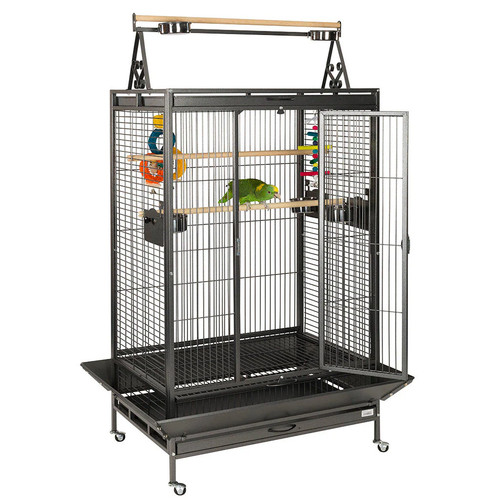Antique cambridge parrot cage - antique,
