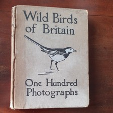 Wild Birds Of Britain One