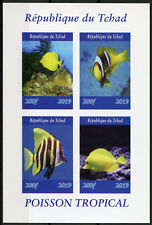 Chad 2019 MNH Tropical Fish Tang 4v IMPF M/S I Poisson Fishes Marine Stamps