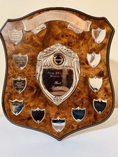 🏆 Big Trophy Shield 13”