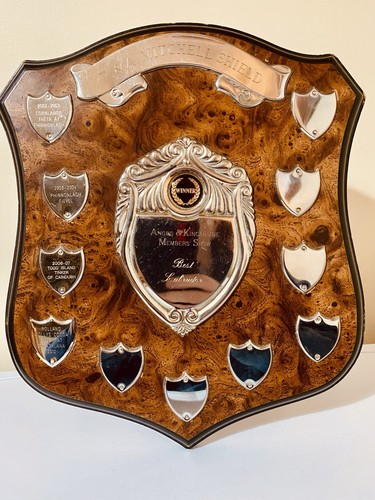 Big trophy shield - big, 13”