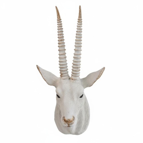 Antelope head wall decor - antelope,
