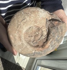 Large Unprepared/Rough Permian