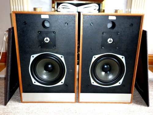 Rare mordaunt short - rare, mordaunt-short