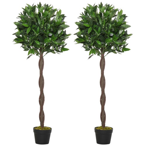 Set bay laurel - set, 2