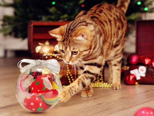 160x clear christmas balls - christmas,