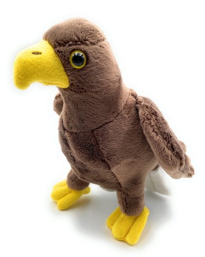 Sea eagle owl - eagle,