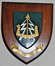 4th Regiment Reconnaissance