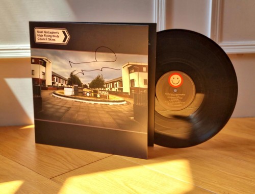 Noel gallagher council skies - noel,