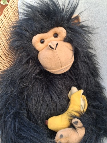 Extra large chimpanzee - extra,