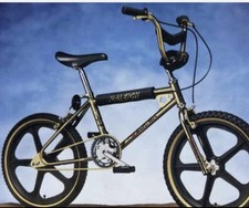 Raleigh Super Tuff Burner 35th