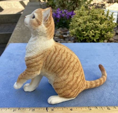 Country artists ginger tabby - country,