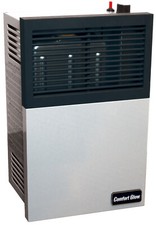 Comfort Glow Direct Vent  Dual