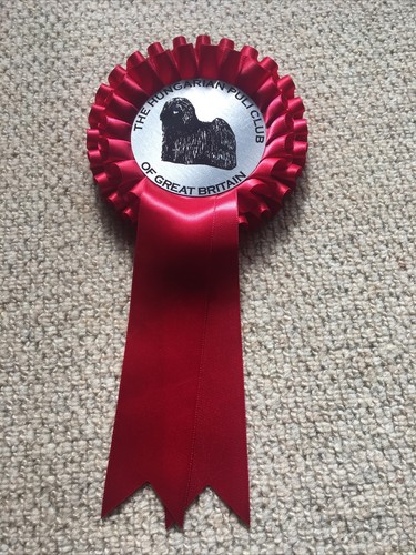 The hungarian puli club - the, of