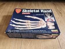 1991 Lindberg Skeletal Hand