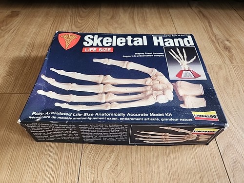 1991 lindberg skeletal - 1991,