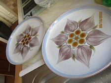 denby chatsworth dinner plates x 2