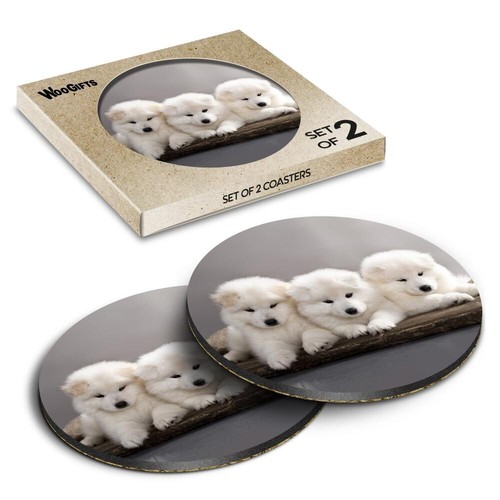 Round mdf coaster samoyed - round,