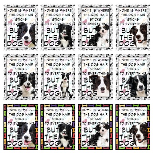 Border collie retro metal - collie,