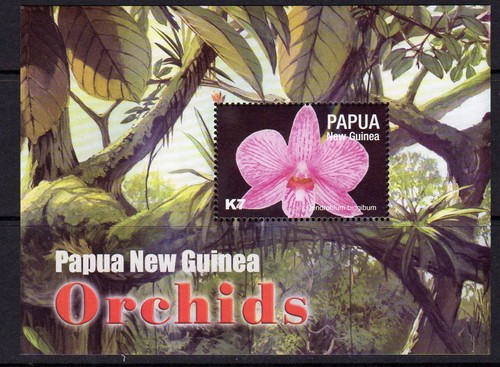 Papua new guinea - papua,