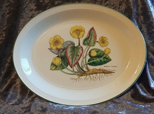 Enoch wedgwood florabunda - wedgwood,