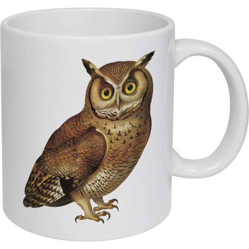 11oz brown owl - (320ml), owl'