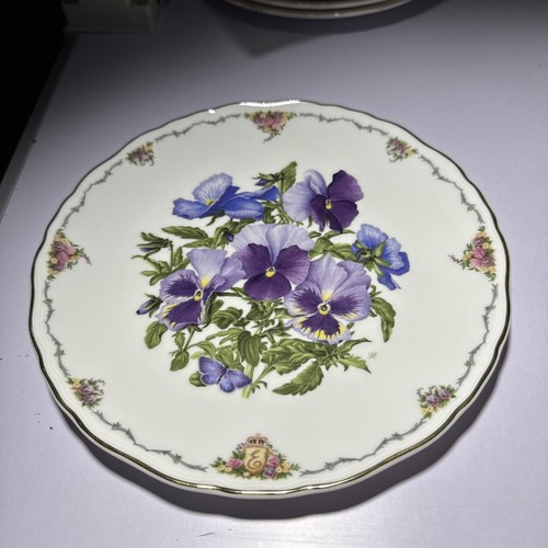 Royal albert pansies - royal,