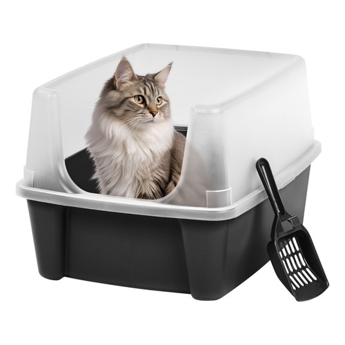 Iris usa large - sided, cat