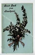 (KLf6429-502) Good Luck From Blackpool, Lucky Heather 1917  Used, G-VG