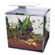 Superfish qubiq pro led - pro,
