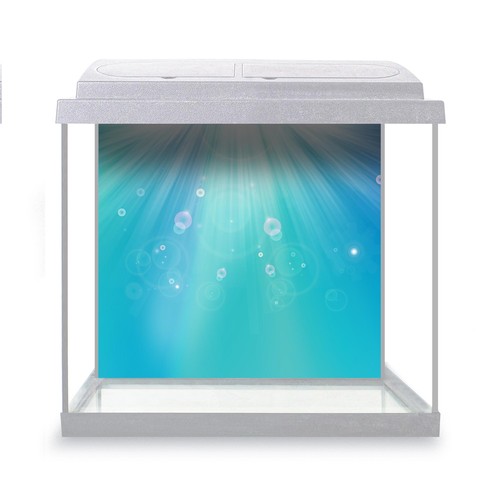 Fish tank background sunbeams - fish,